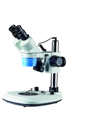 20X - 40X microscopio binocular estéreo de la cabeza 100m m